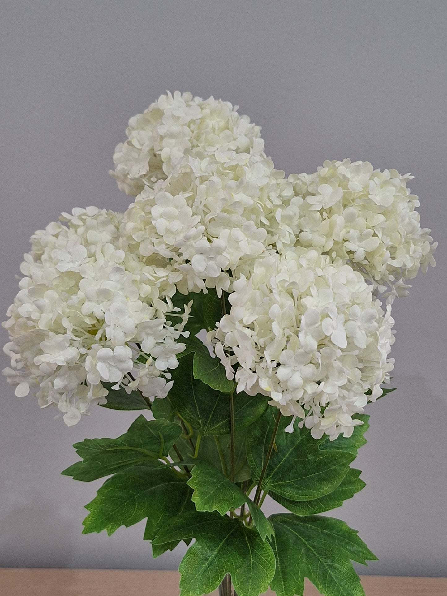 RAMO VIBURNUM BLANCO