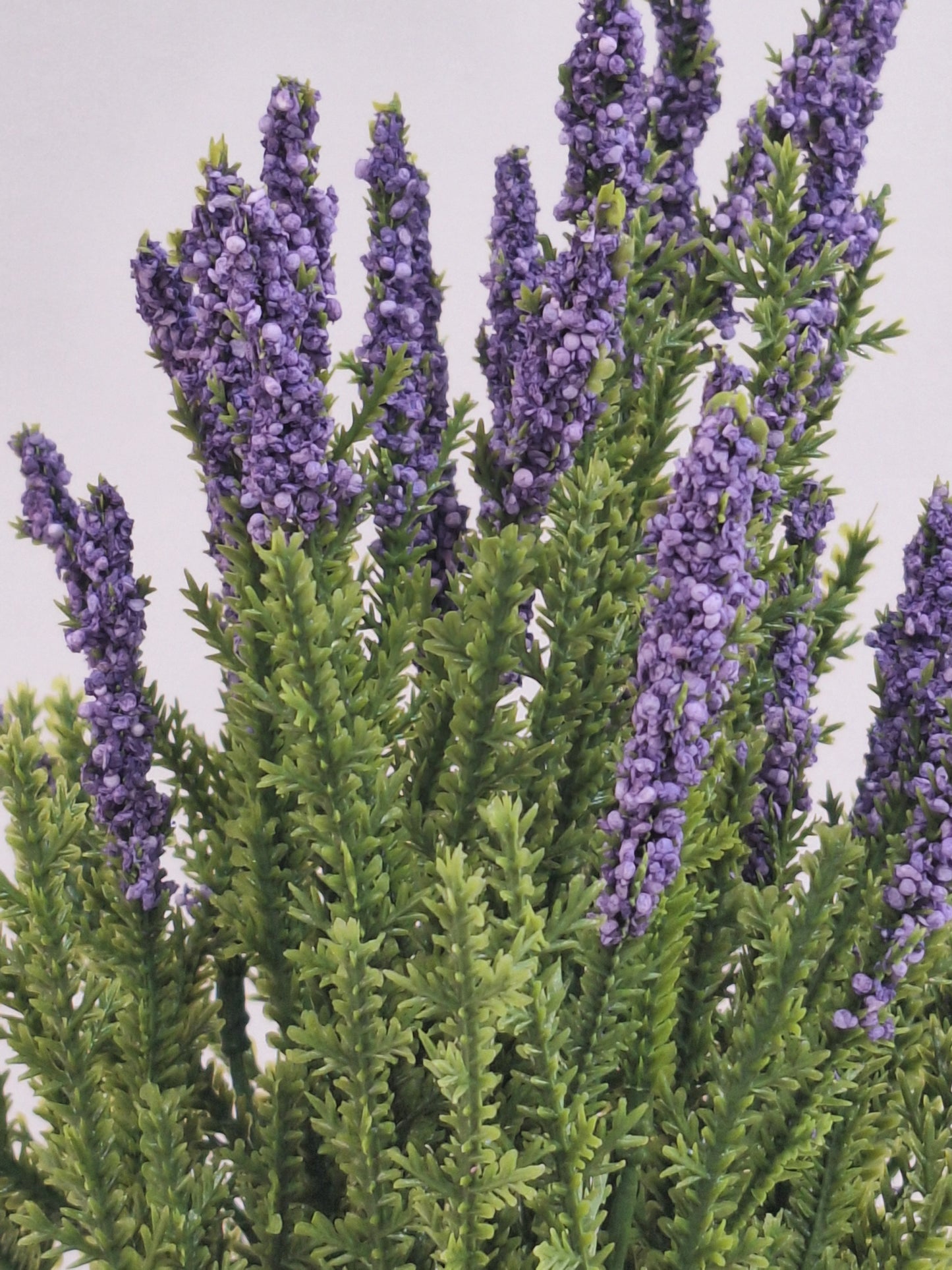 RAMO BREZO LAVANDA