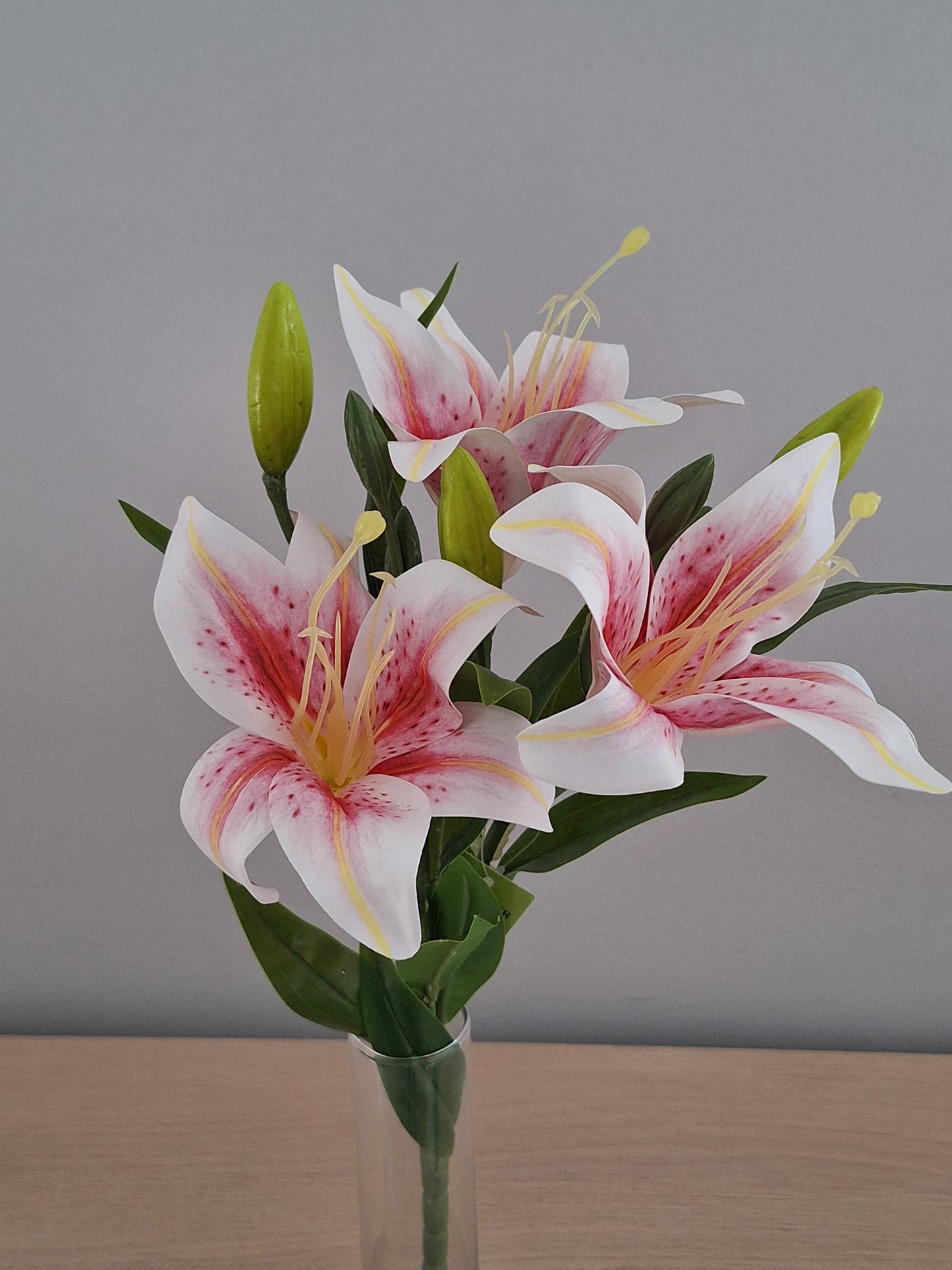 VARA LILIUM