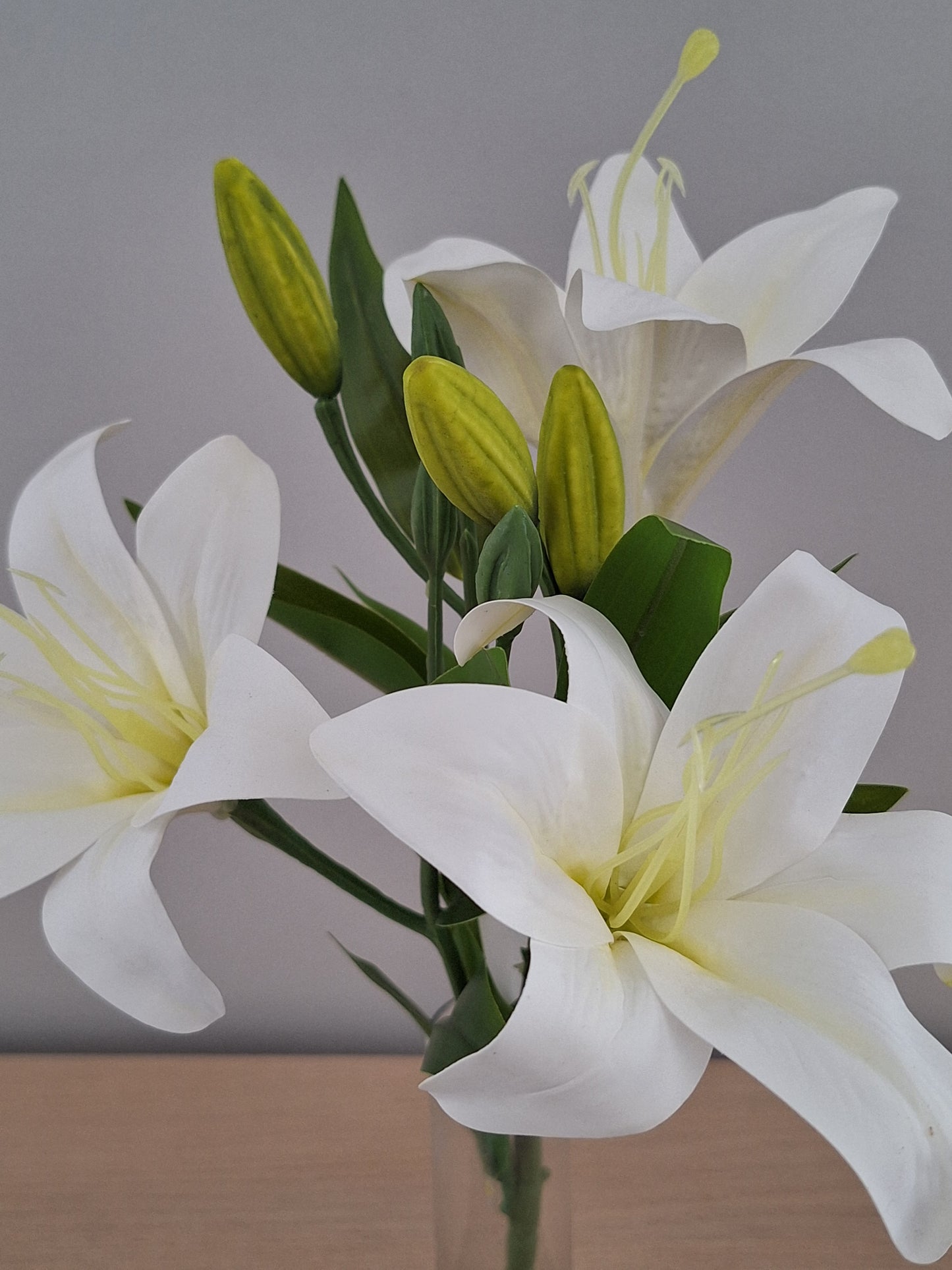 VARA LILIUM