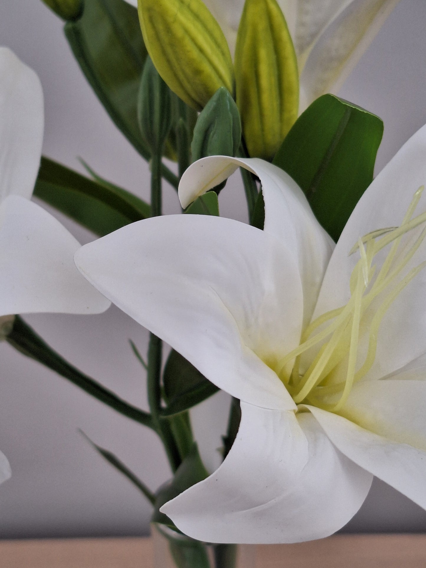 VARA LILIUM
