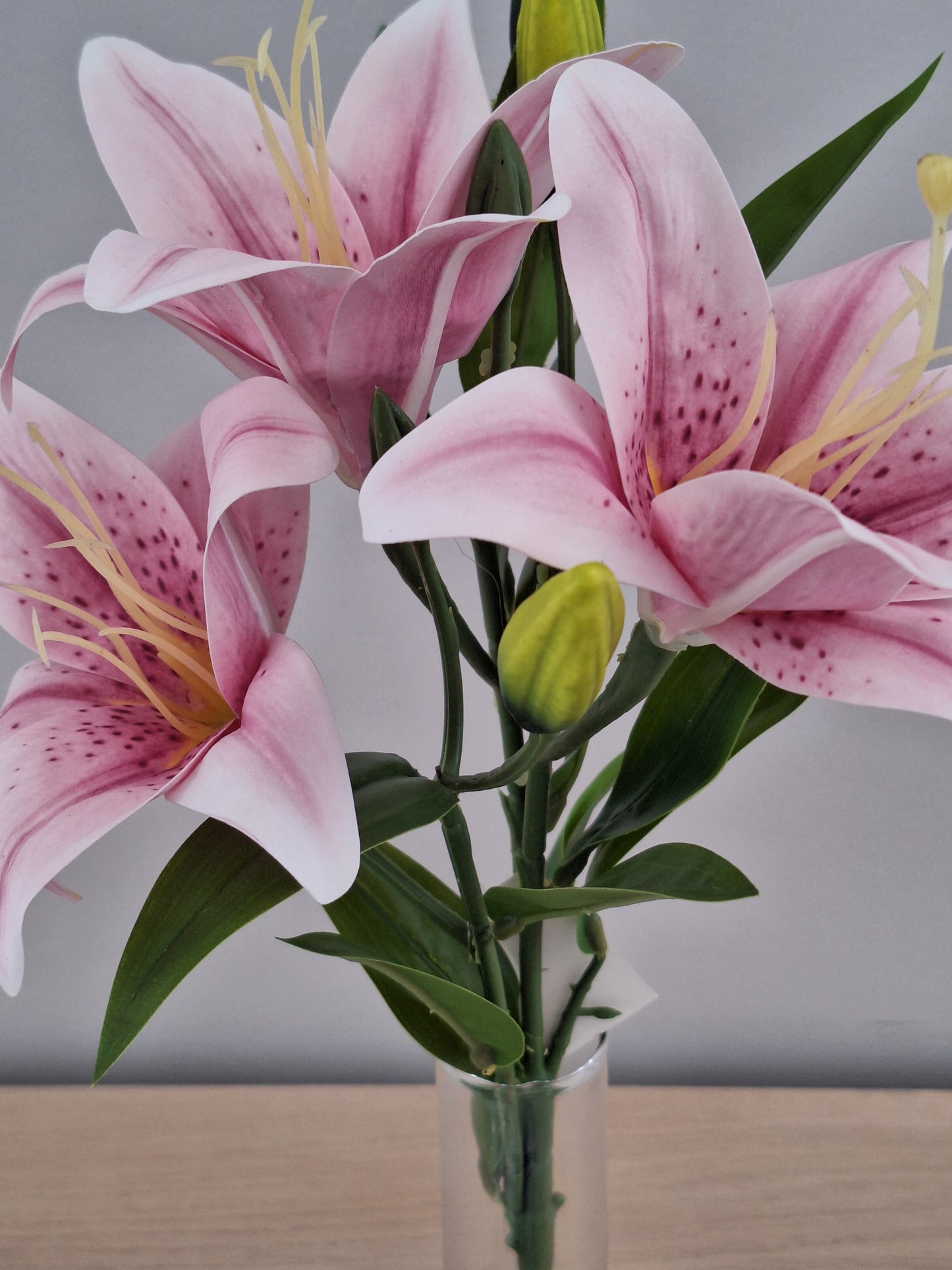 VARA LILIUM