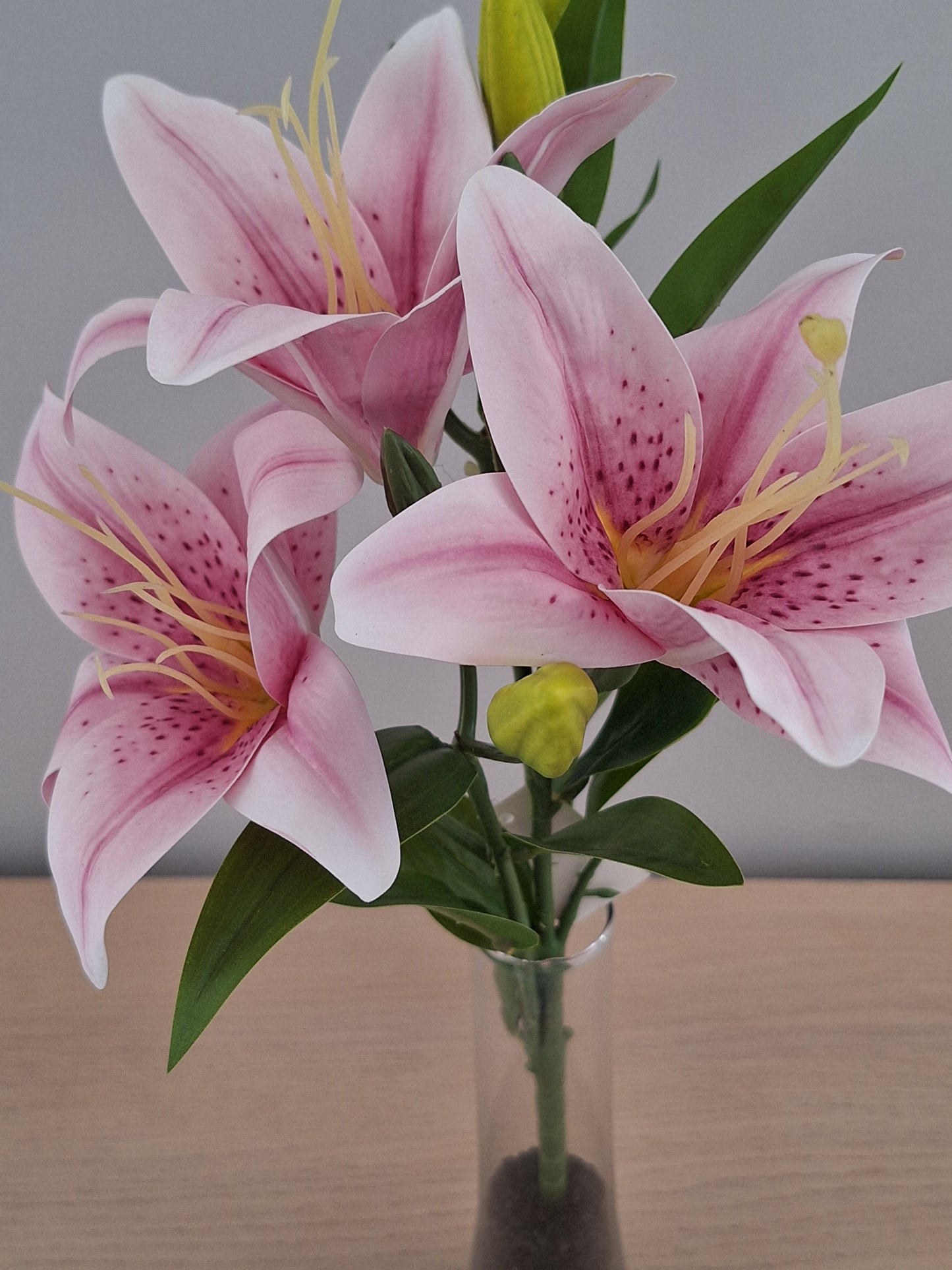 VARA LILIUM