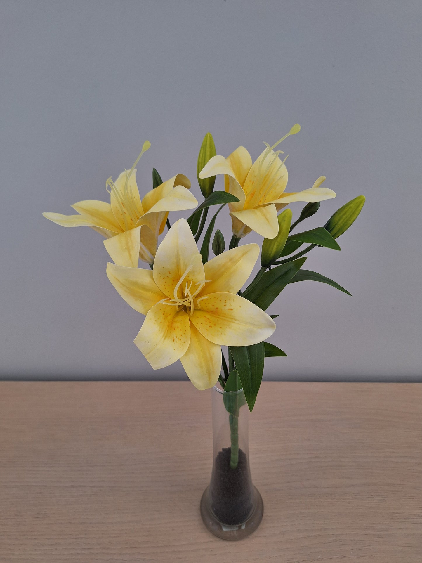 VARA LILIUM