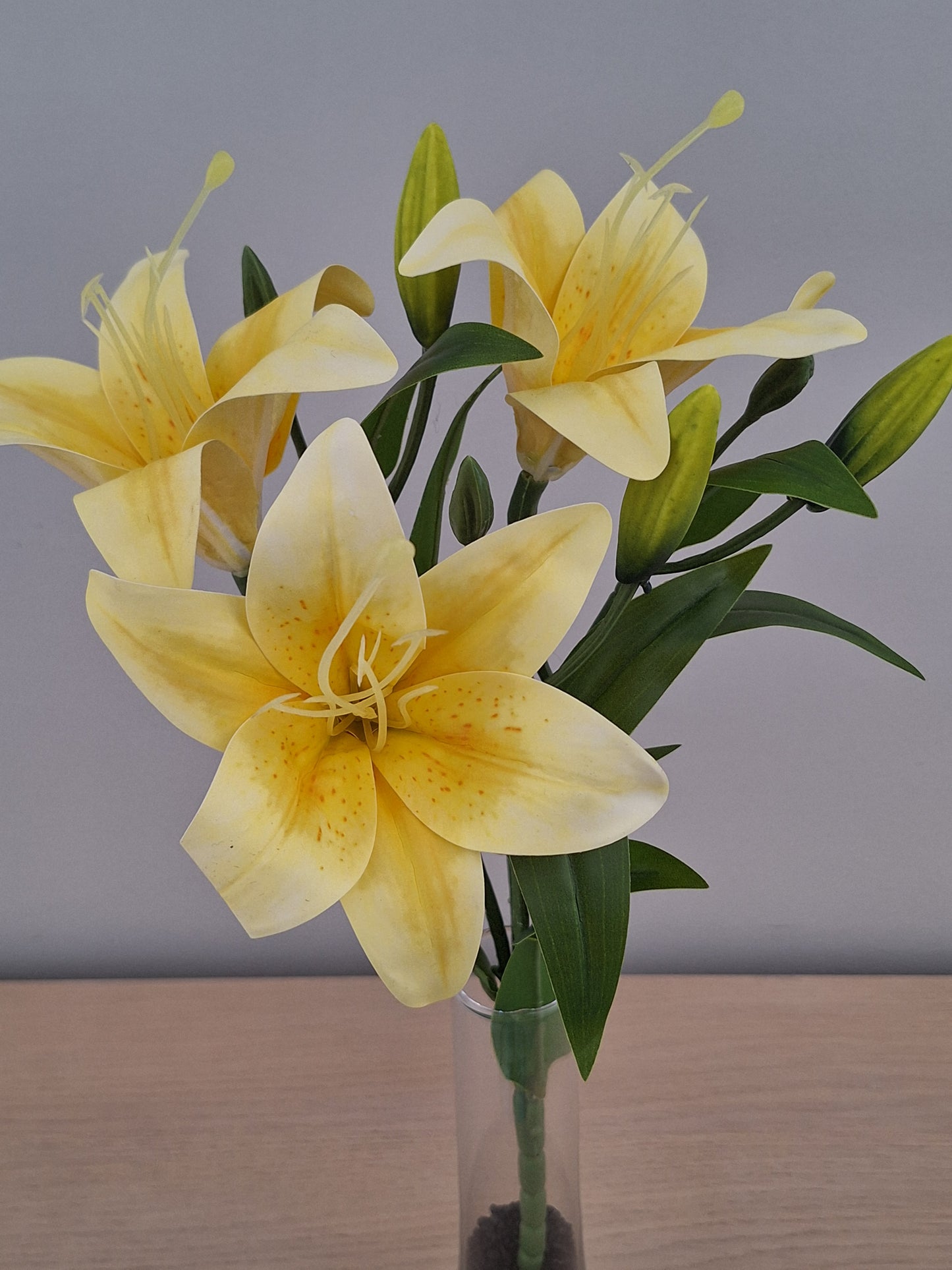 VARA LILIUM