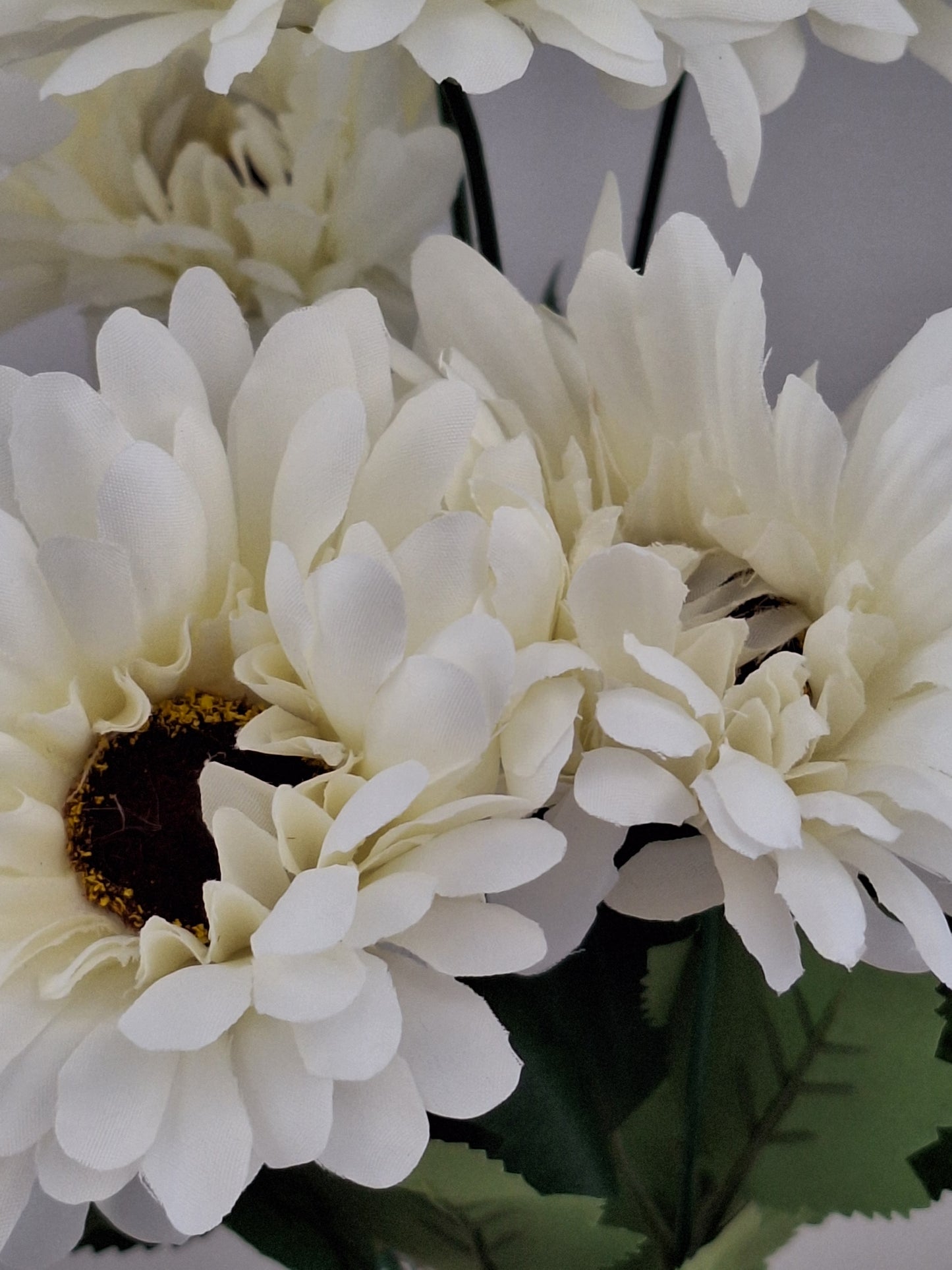 RAMO DE GERBERAS BLANCAS