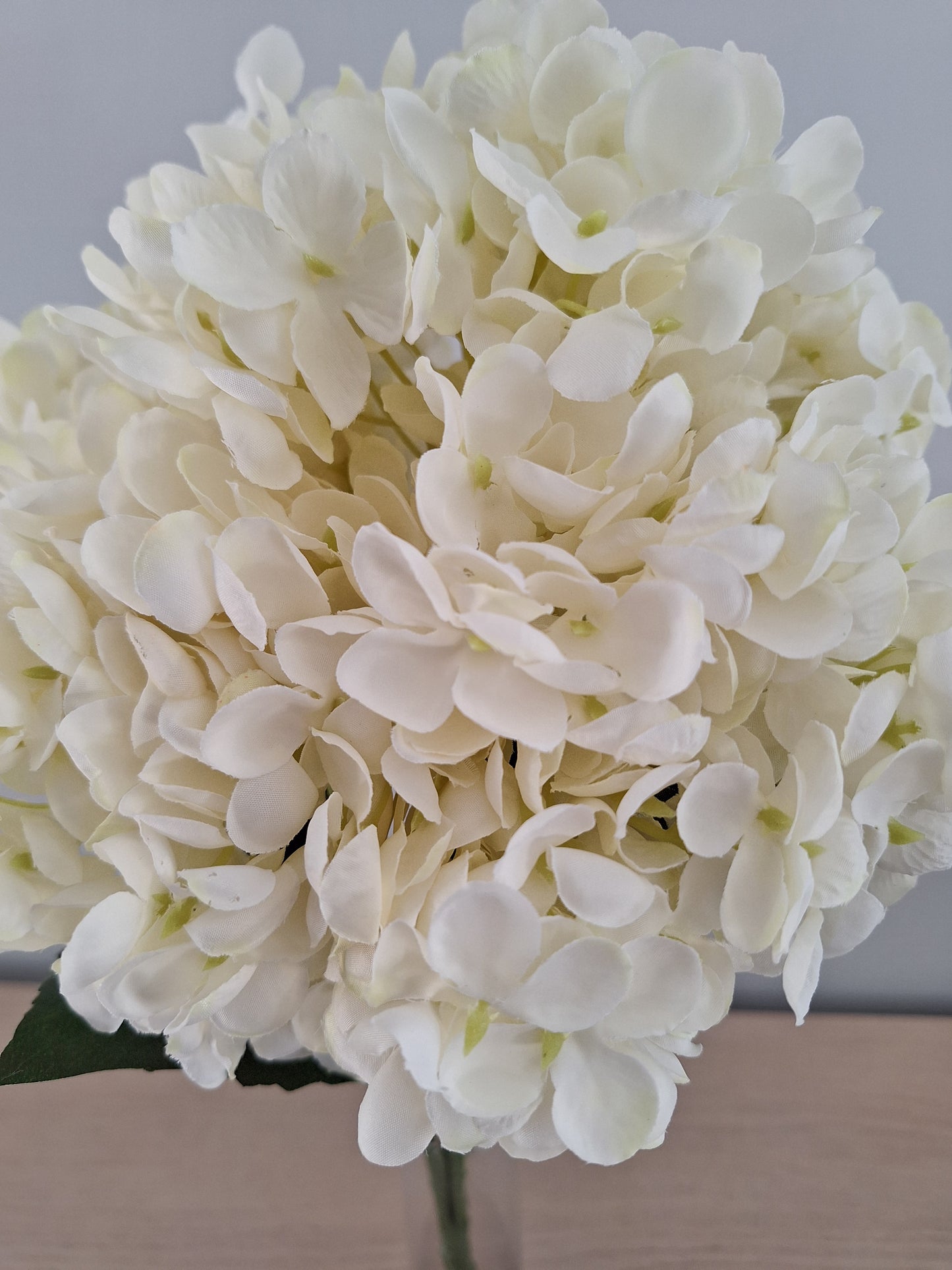 RAMO REDONDO DE HORTENSIAS
