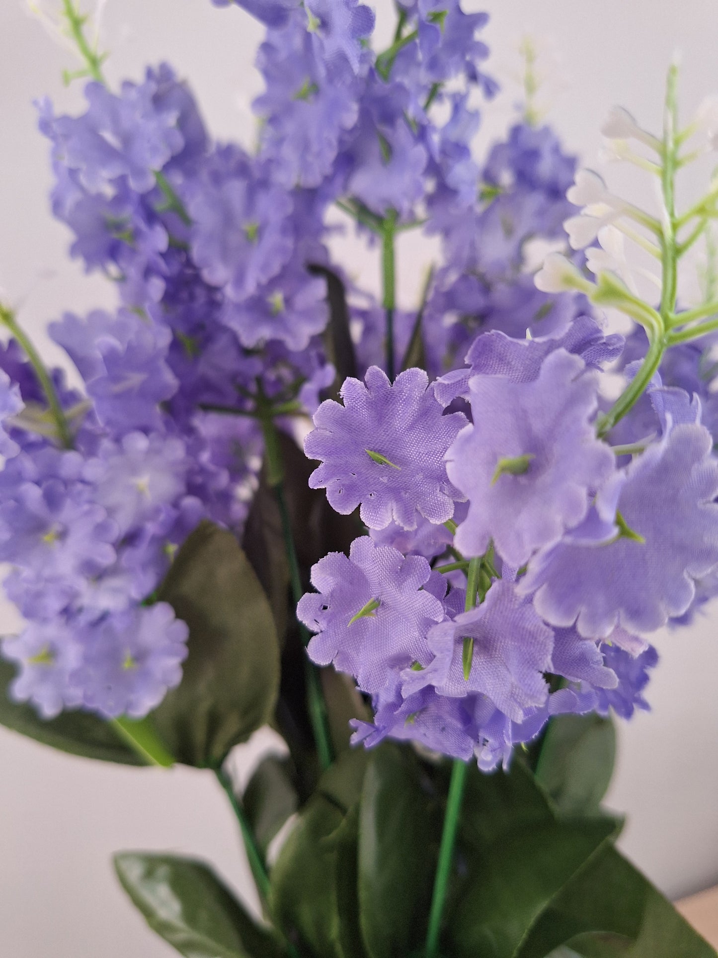 RAMO DE LILAS