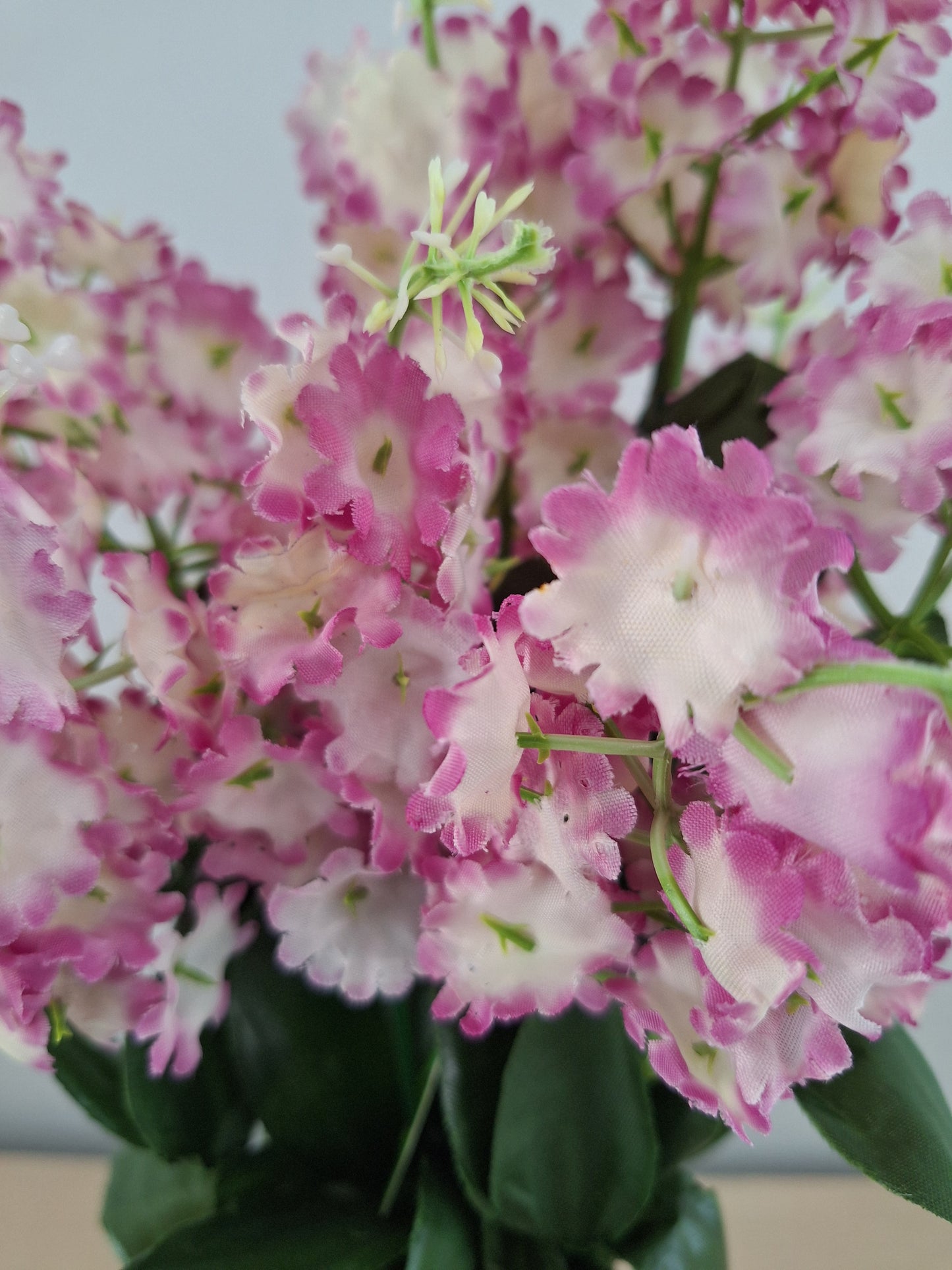 RAMO DE LILAS