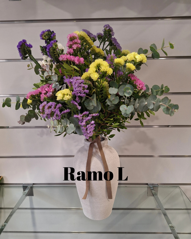 RAMO STATICE