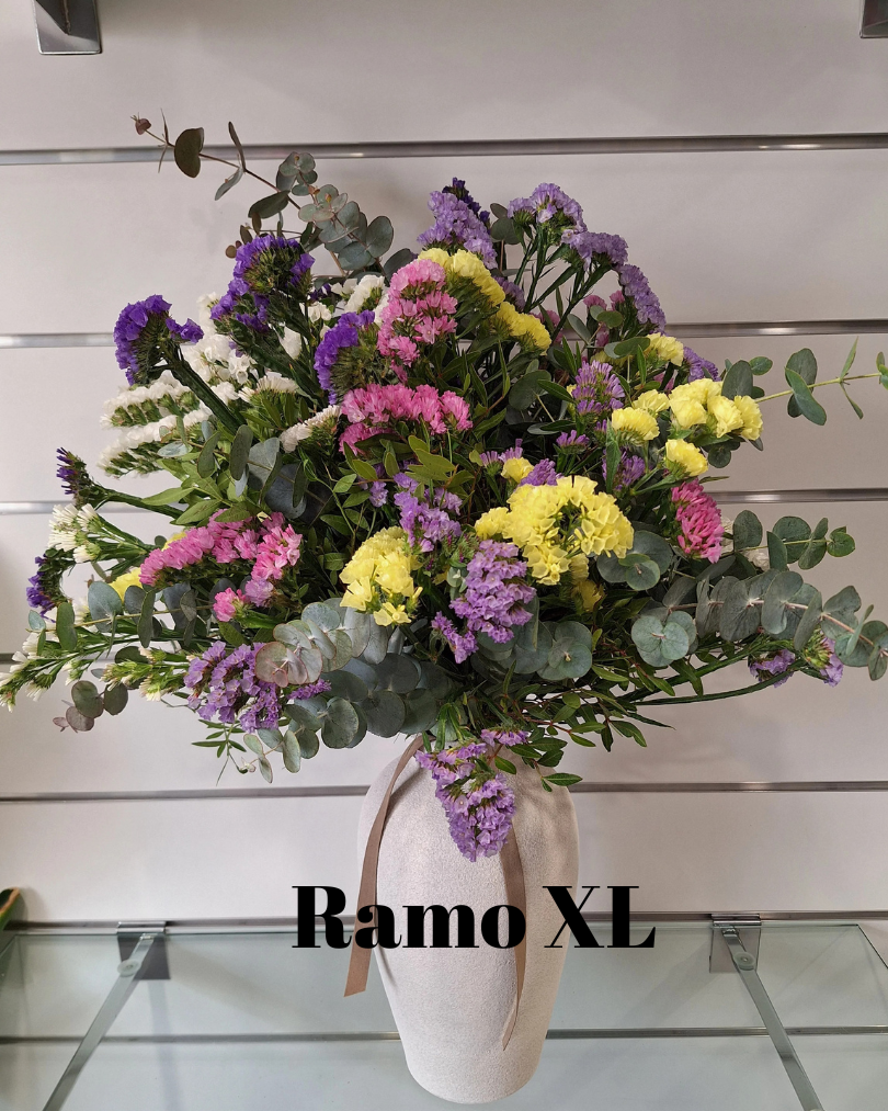 RAMO STATICE