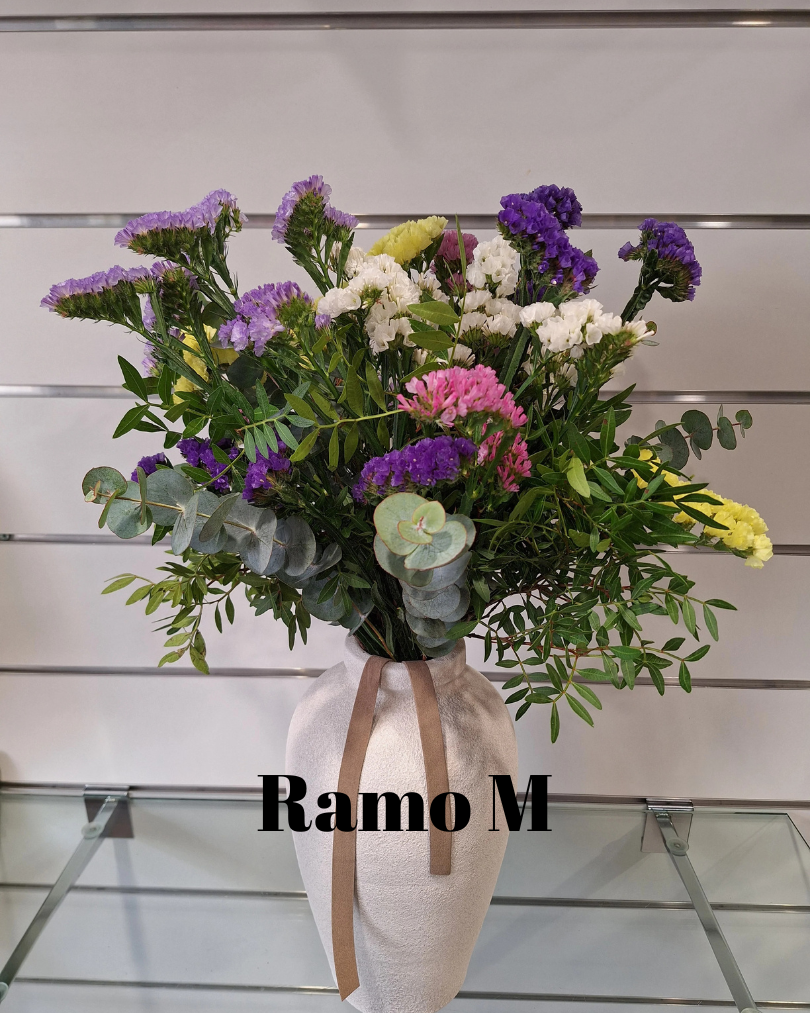 RAMO STATICE